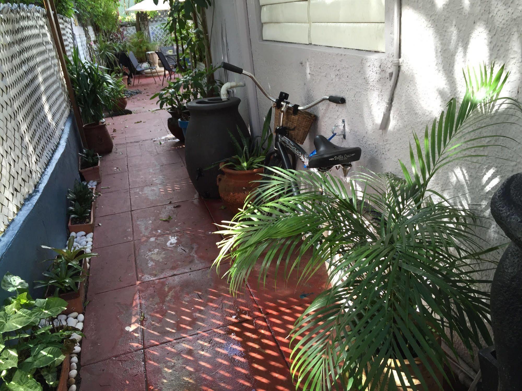 Lower Price, More Style, Discount Studio In San Juan,Pr, Beach, Free Bikes (Adults Only) Ngoại thất bức ảnh